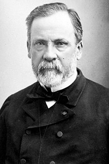 Imagen de Pasteur