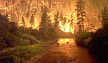 Incendio forestal
