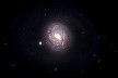 La galaxia Messier 77