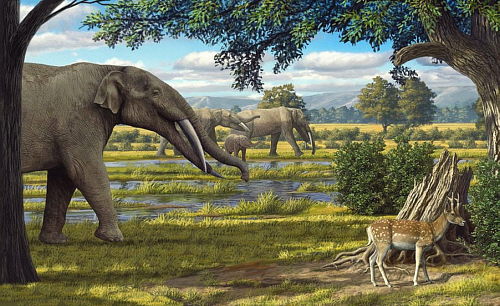 Flora y fauna del Mioceno