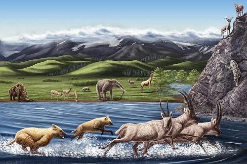 Animales del Plioceno